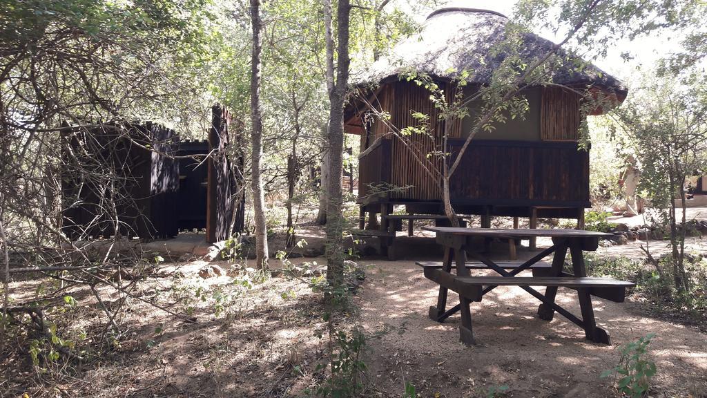Off Beat Safaris Bush Lodge Hoedspruit Exterior photo