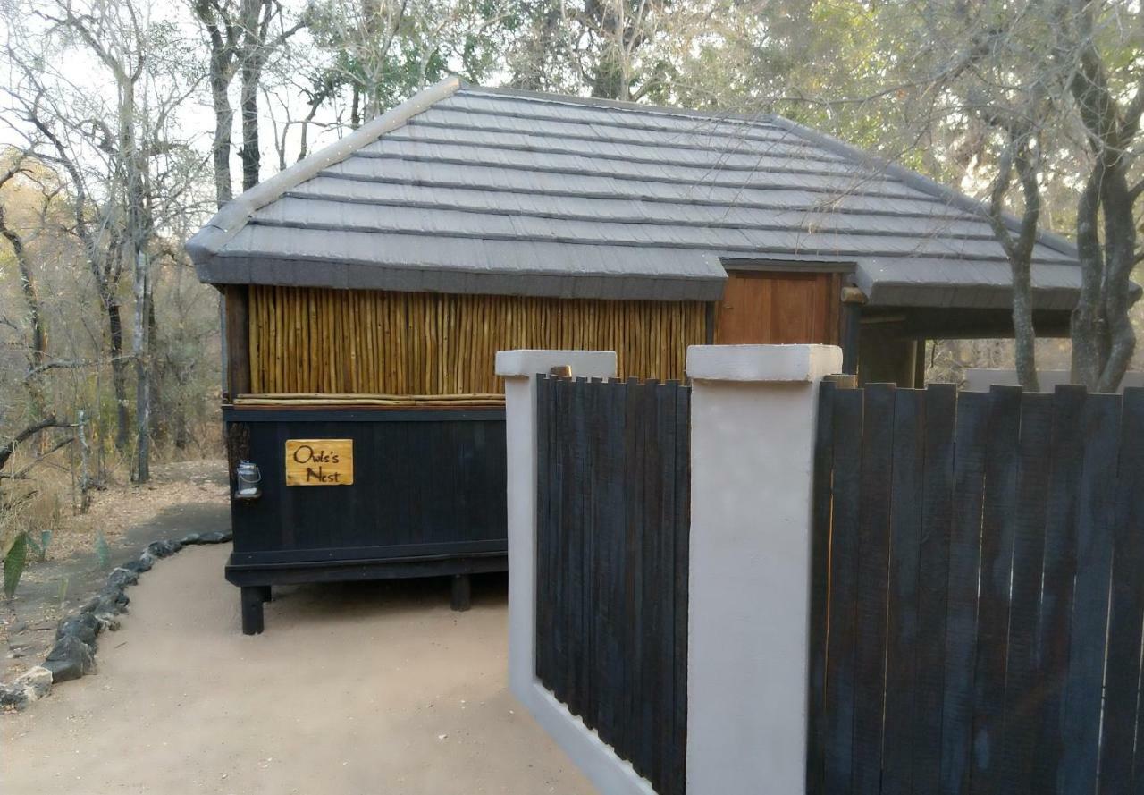 Off Beat Safaris Bush Lodge Hoedspruit Exterior photo